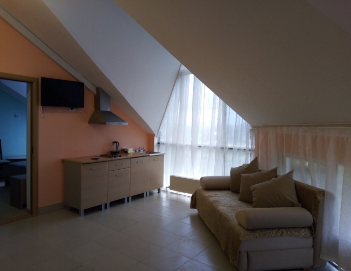 Апартаменты 2-местный 2-комнатный корпус Заречный - Санаторий «Родничок» Ключи